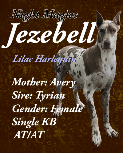 Jezebell